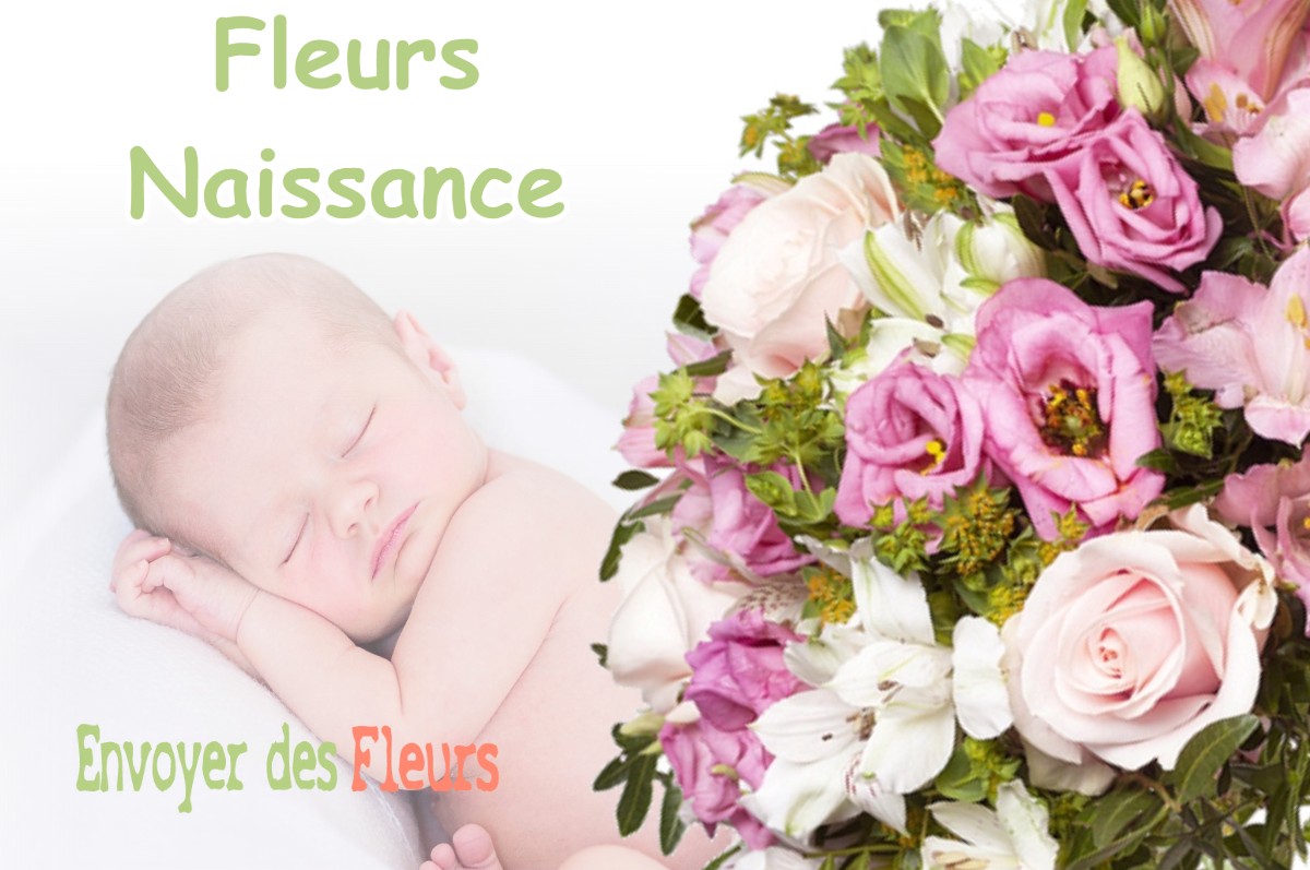 lIVRAISON FLEURS NAISSANCE à THORAILLES